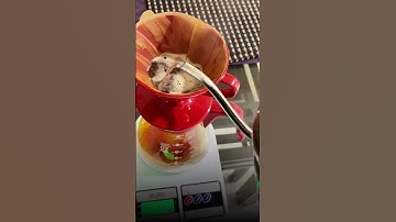 AI-Cloned Voice Makes V60 Coffee in 5 Languages | Demo by Rohit Beria #ai