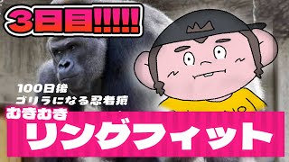 【リングフィット】100日後にゴリラになる忍者猿 3日目【火野アラシ】