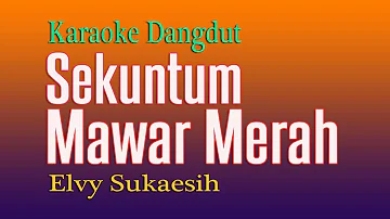 Sekuntum Mawar Merah - Elvy Sukaesih - Dangdut Karaoke of All Time