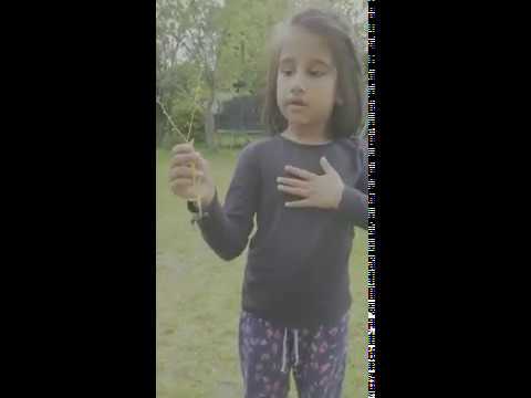 A pupil from Puffins class naming parts of a plant for her science work.