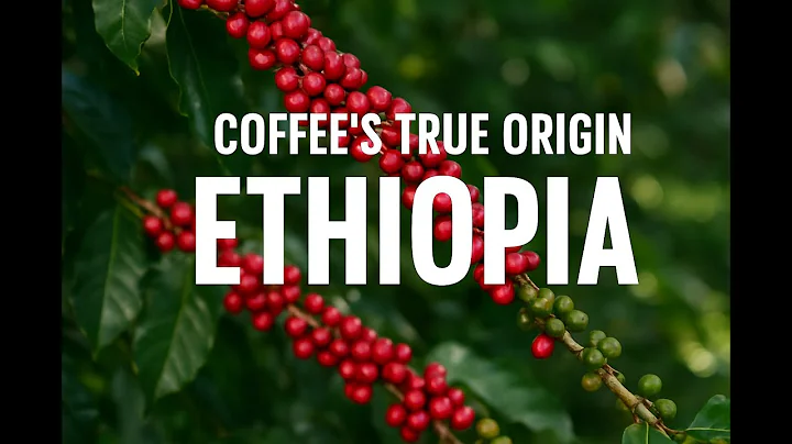 “Ethiopia  The Birthplace of Coffee”