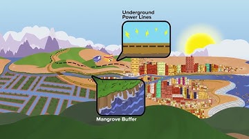 Disaster Risk Management and Climate Change Animated Video