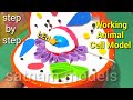 Animal Cell model || 3d animal call project