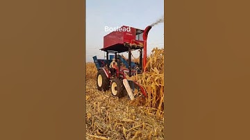 Boslead 2 in 1 corn and silage harvester in India.  #cornharvester #farmequipment