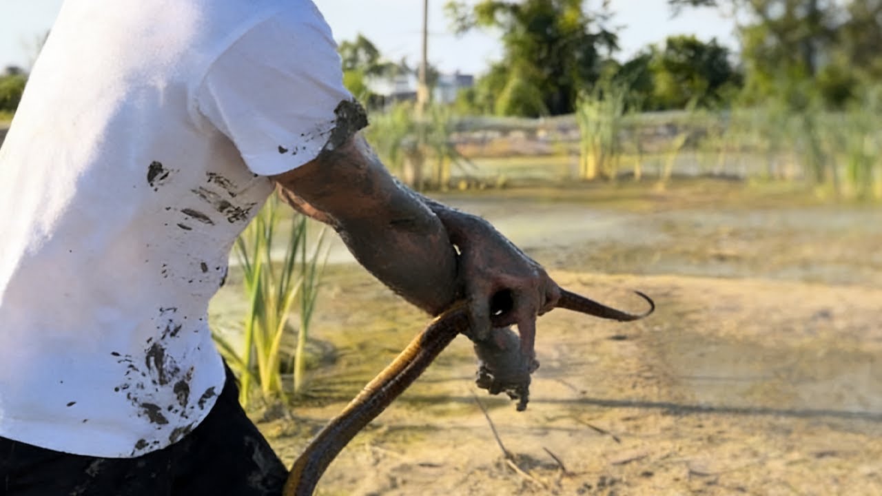 這穩賺不賠的買賣過癮，來一探究竟吧