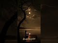 مافي حدا لا تندهي الملكة فيروز مافي حدا لا تندهي الملكة فيروز