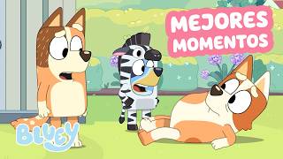 Thumbnail image for ¡Lo Mejor de la Temporada 3 de Bluey! 🌟 | Recopilación de Clips 💙 | Bluey - Español Canal Oficial