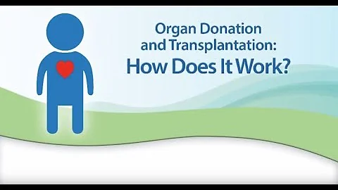 Organ Donation and Transplantation - How Does it Work?