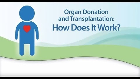 Organ Donation and Transplantation - How Does it Work?