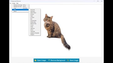 ✂️Remove Backgrounds Offline! No Internet? No Problem! (BG Remover - FREE)