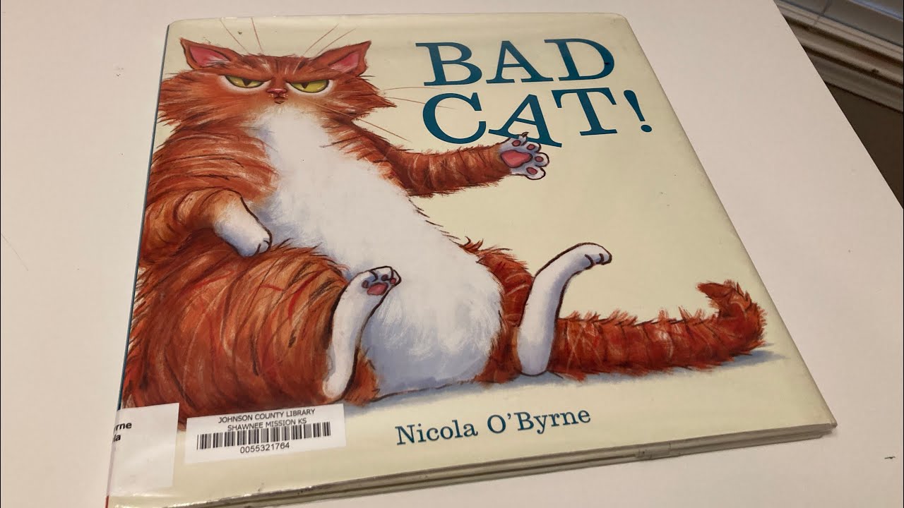 😾Bad Cat (Read Aloud books for children)