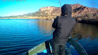 Ebro 2019 spining catfish,silure. Handmade lure. screenshot 3