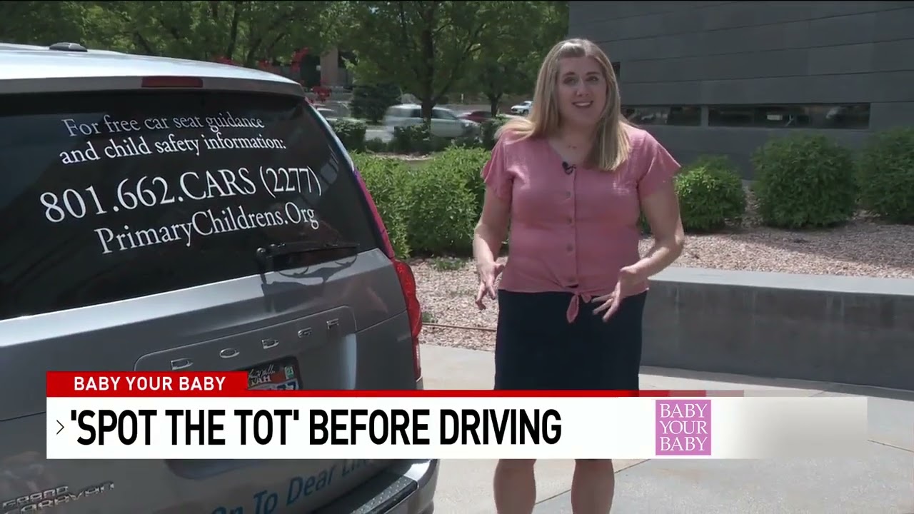 Baby Your Baby   Spot the Tot before Driving