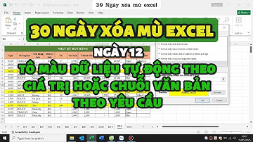 30 NGÀY XÓA MÙ EXCEL CƠ BẢN - NGÀY 12: TÔ MÀU TỰ ĐỘNG DỮ LIỆU THEO GIÁ TRỊ HOẶC CHUỖI VĂN BẢN