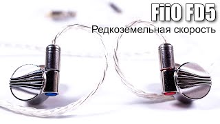 :    FiiO FD5