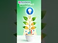 Plants Growing Without Soil? This Is the Future of Farming! 🌱 #syntropicfarming#soillessfarming