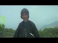 John Chang Yang Pan Pan Two Wonderous Tigers 1979 John Chang Yang Pan Pan Two Wonderous Tigers 1979