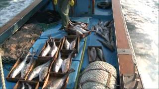 한국인의 밥상 - Korean Cuisine and Dining 20110106 #002