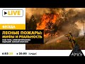 Онлайн-беседа «Лесные пожары: мифы и реальность»