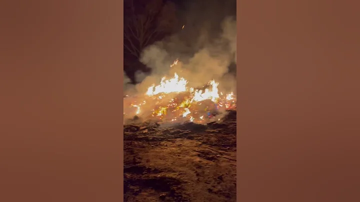 Fired Fired Fried