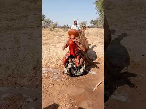 س ت ر ة ص غ ير ة ت س ق ط م ن ع ل ى ج م ل ه ا ب ع د أ ن ت ع ث ر ف ي ط ر يق ال ق ر ي ة