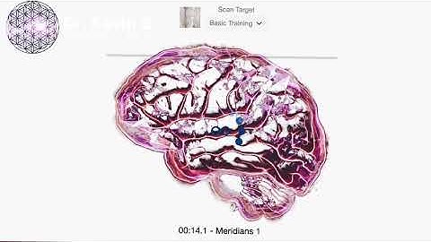 Introduction to Frequencies and AO Scan by Solex