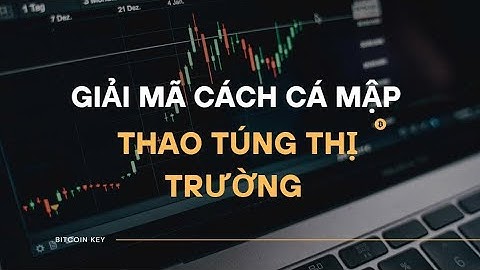 GIẢI MÃ CÁCH CÁ MẬP THAO TÚNG THỊ TRƯỜNG 