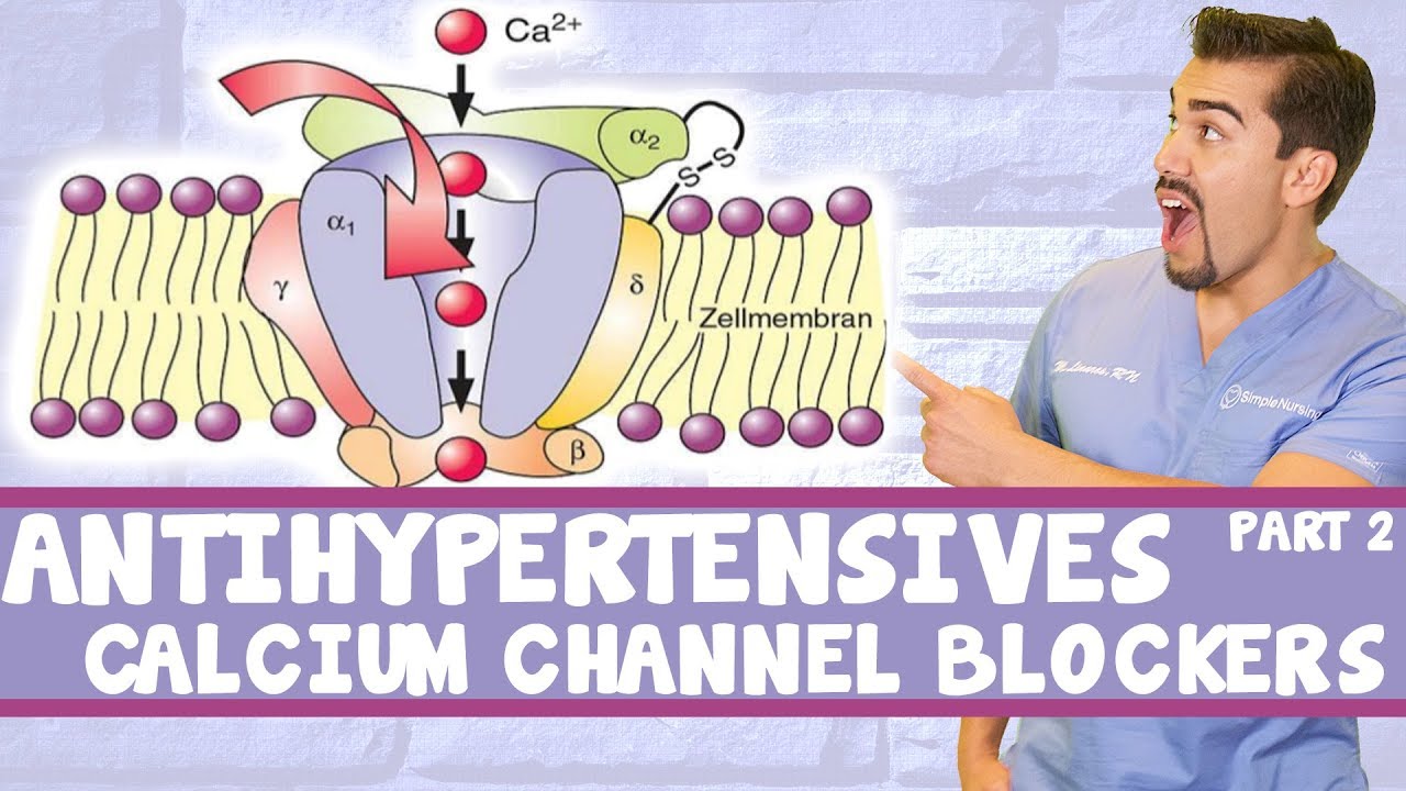 Antihypertensive Calcium Channel Blockers Part 2 YouTube Antihypertensive Calcium Channel Blockers Part 2 YouTube