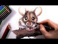 How to draw fur for coloured pencil artists