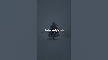 Surah Al-Imran 162-164 سورة آل عمران #quraniv #quran