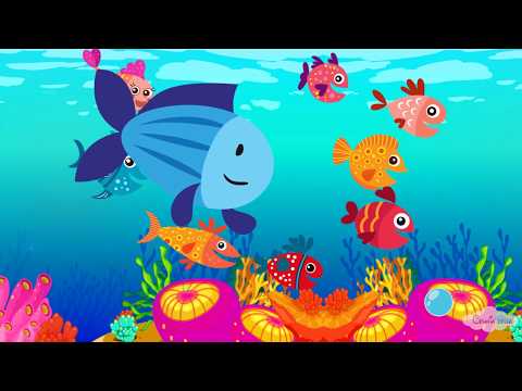 Βίντεο: Πώς κολυμπούν τα ψάρια