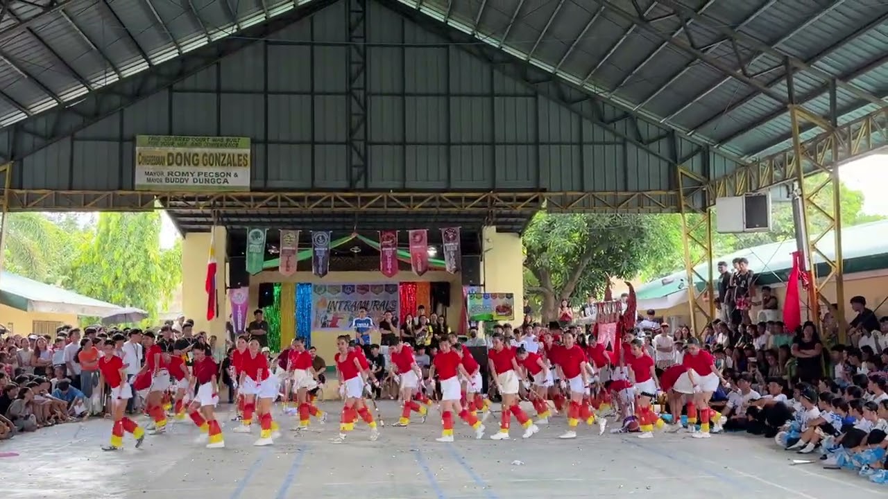 Palarong Pambansa - Mass dance 2025