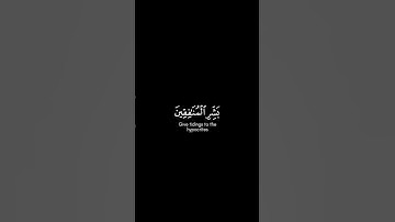 ﴿بشر المنافقين بأن لهم عذابا أليما﴾سورة النساء أحمد العبيدMuslim book#قرآن