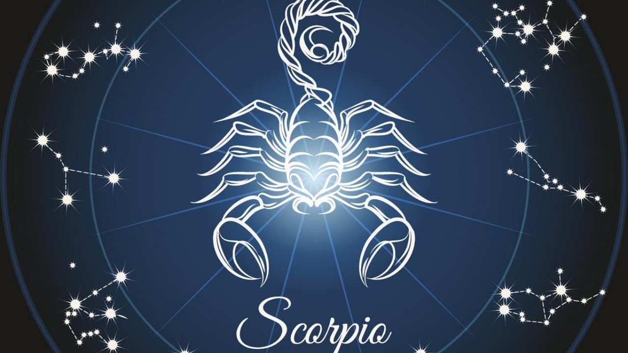 Гороскоп скорпион 2. Scorpio знак зодиака. Скорпион знак зодиака Scorpio. Скорпион знак зодиака фото картинки. Картинки со знаком зодиака Скорпион.
