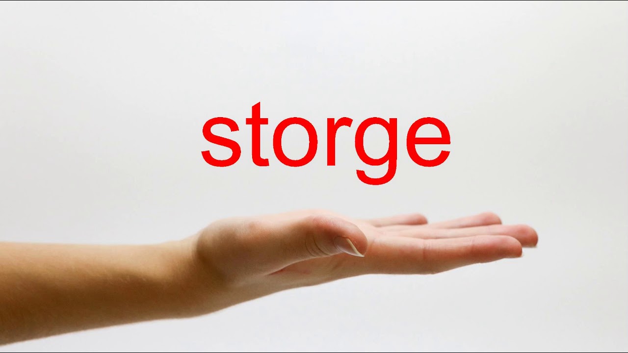 Que significa storge