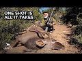 One Shot is All it Takes | Kudu Hunt | John X Safaris
