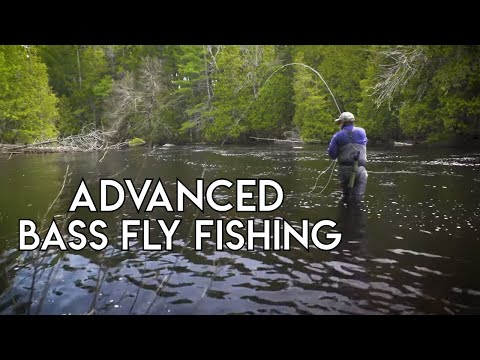 Advanced Bass Fly Fishing 
