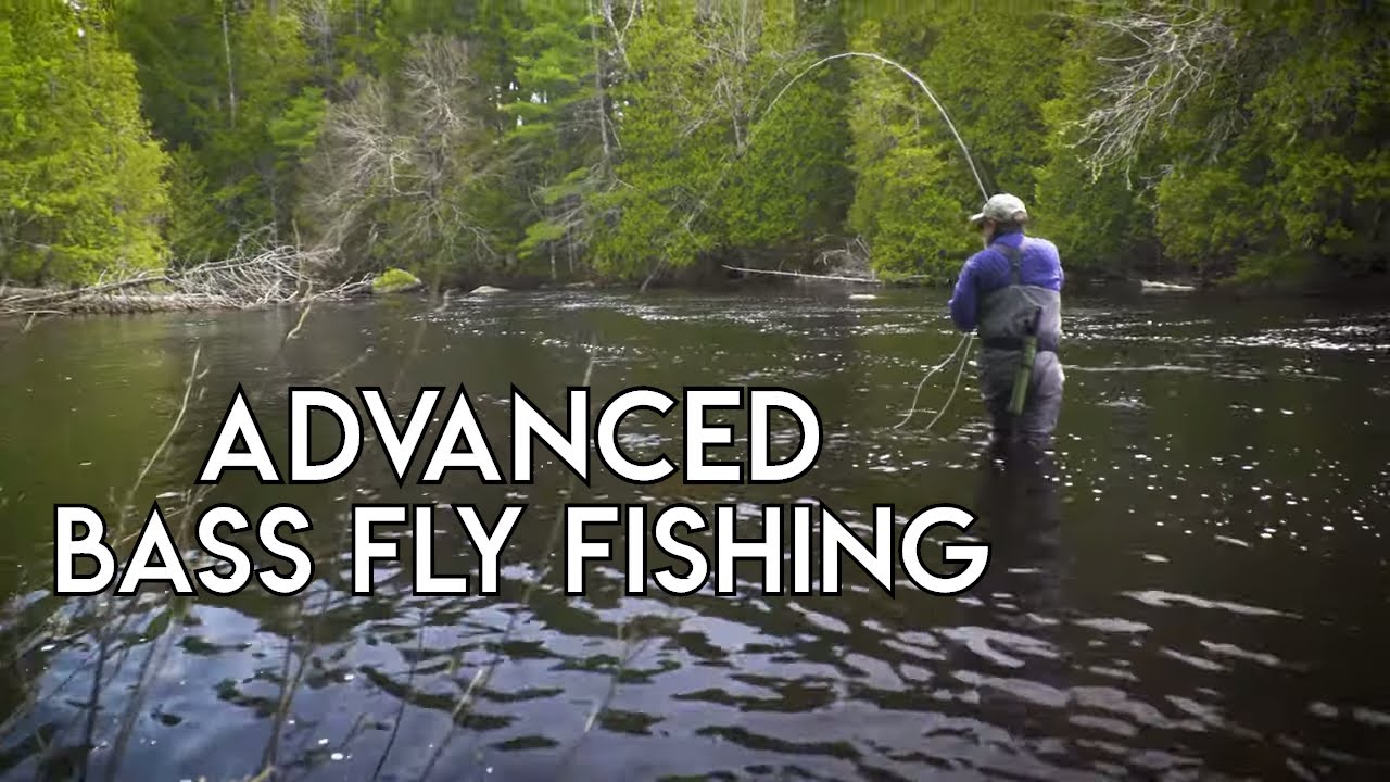 Advanced Bass Fly Fishing 