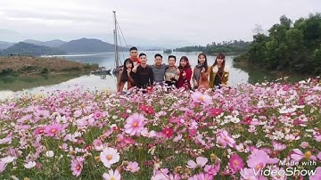 Đảo hoa family hồ núi cốc Thái nguyên