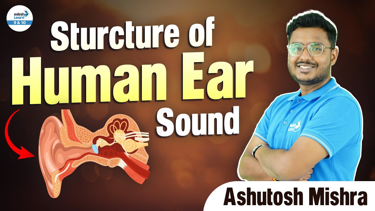 sound-structure-of-human-ear-class-9-physics-live-ashutosh
