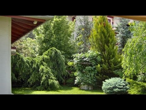 Video: Villa Planta, Süs Bitkileri Fidanlığı, Peyzaj Ofis