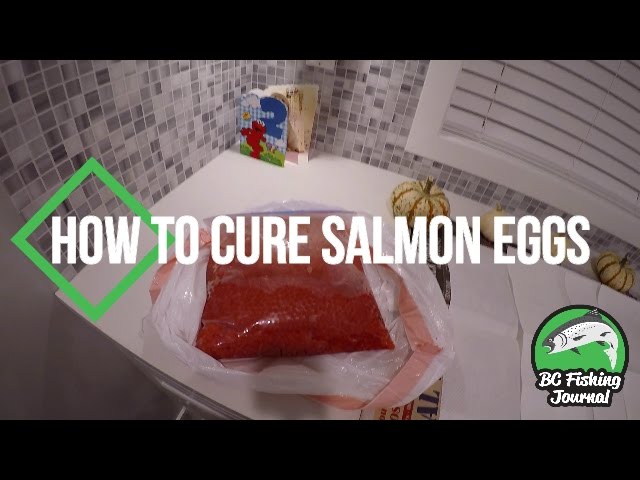How To Cure Salmon Eggs 