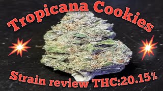 Tropicanna Cookies Strain Review THC:20.15%