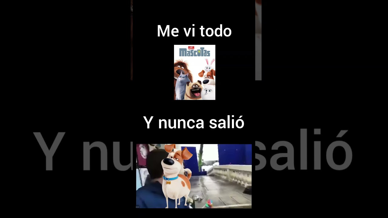 like si entendiste 🗿🤑 