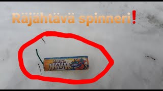 Räjähtävä spinneri papaatti testissä!