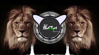 SHER TAL TAPORI DHOL CHALI MIX DJ SATYA GALWHA