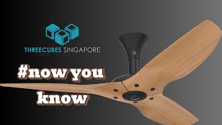 Things You Didnt Know About Ceiling Fans In Singapore