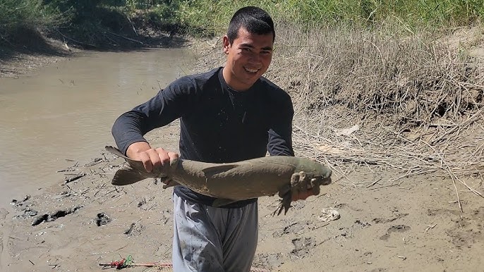 Baliq torida katta kokraklar