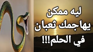 تفسير رؤية الثعبان في المنام ، ليه ممكن يهاجمك ثعبان في الحلم!!!