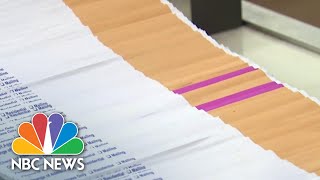 Key Election Official Raises Alarm Over Expanded Mail-In Voting | NBC Nightly News